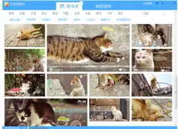 愚人节整人无罪好桌道恶搞壁纸大放送  愚人节整人无罪好桌道恶搞壁纸大放送