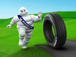 非对称花纹  非对称花纹