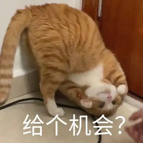  萌宠表情包想要小姐姐抱着睡