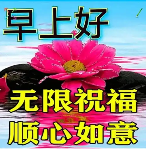  2024年1月26日最新美女早安祝福照片,早安问候图片,唯美表情包请欣赏