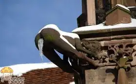 真心无语,太震撼了  真心无语,太震撼了