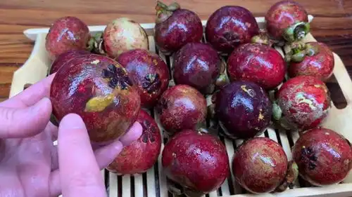  你家还在买山竹吗知道的人并不多,看完记得告诉家里人