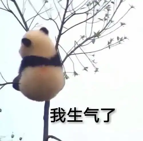  英语特别差的话,想考研还有救吗