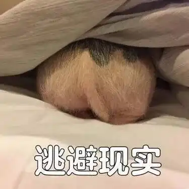  圣诞还没到就开始吃土澳人全靠刷信用卡吊命