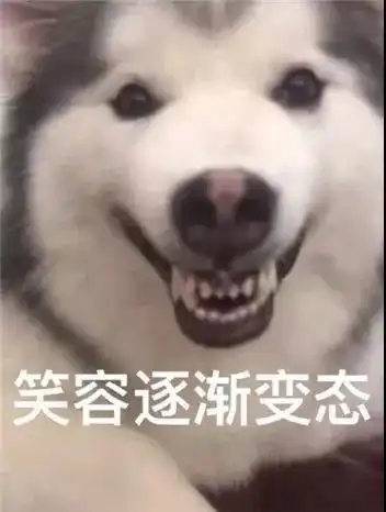  做狗嘛,最重要的就是开心,沙不沙雕的无所谓