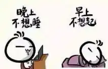  有没有关于睡觉的搞笑图片