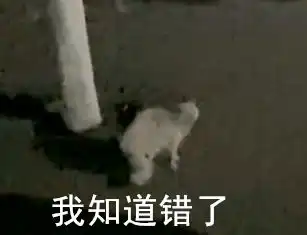  爆笑高校大爷深夜训话猫咪网友指桑骂槐罢了