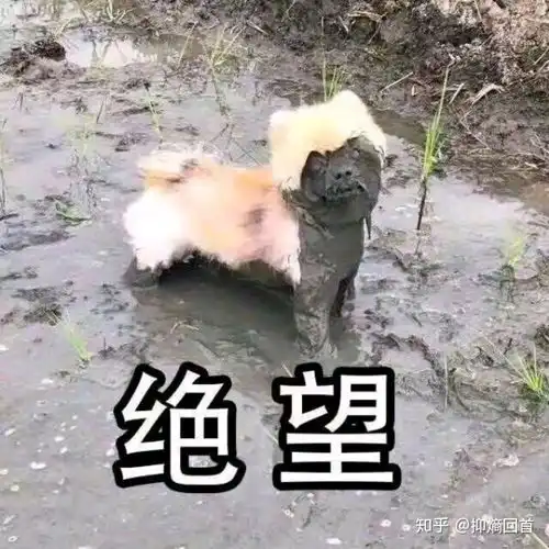 修正的痘肌修护柚子凝胶好用吗  修正的痘肌修护柚子凝胶好用吗