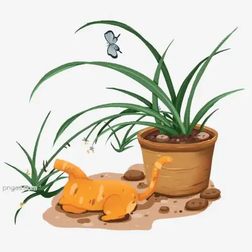 开花的吊兰盆栽免抠元素图片大小2000x2000px图片尺寸1.52mb来自png搜索网pngss.com免费免扣png素材下载吊篮花中君子卡通手绘猫咪盆景盆栽温馨可爱小动物小清新慵懒 开花的吊兰盆栽免抠元素图片大小2000x2000px图片尺寸1.52mb来自png搜索网pngss.com免费免扣png素材下载吊篮花中君子卡通手绘猫咪盆景盆栽温馨可爱小动物小清新慵懒