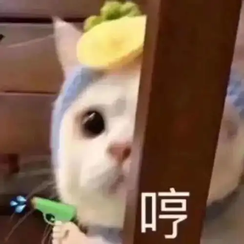  头像人间值得,你也值得