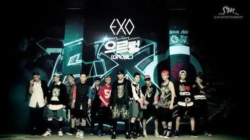  求exo12人高清大图