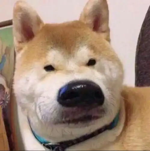 我尊重每个工作人员,但是我希望你们尊重乘客  我尊重每个工作人员,但是我希望你们尊重乘客