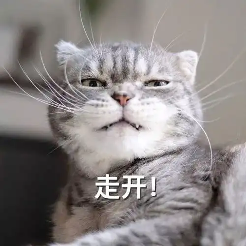  一对情侣在争吵后过了一会,男生的反应和女生的反应