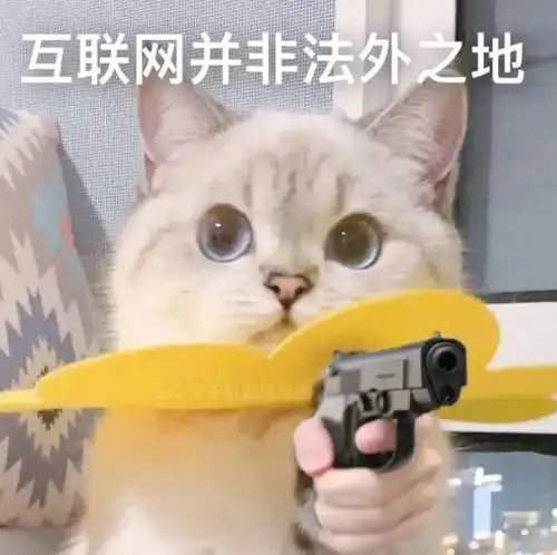 搞笑表情包 沙雕图片猫咪