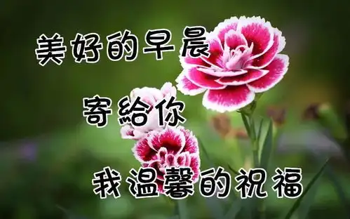 特漂亮早上好问候图片