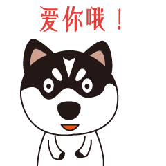  这样的十二时辰,你绝没有见过