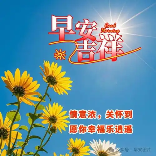  2024年8月25日周日精选早安祝福图片,雨过菊花香,又感秋风凉早安祝福美图分享给您网易订阅
