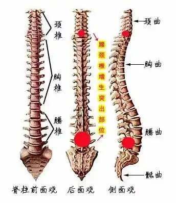 为什么老人都建议睡硬板床看完你就明白了  为什么老人都建议睡硬板床看完你就明白了