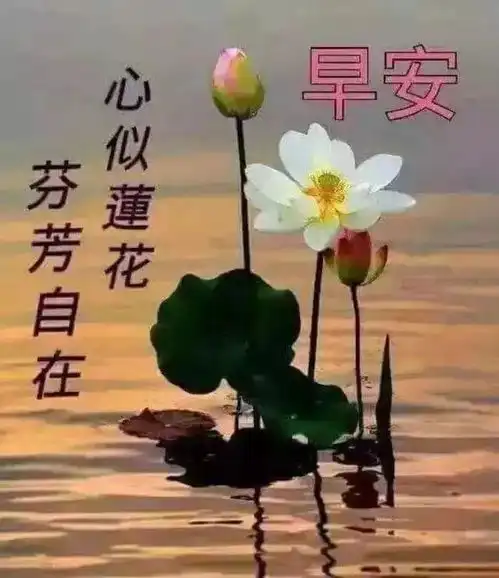  微信群聊天最新版的早上好问候祝福语清晨早上好暖心祝福语分享