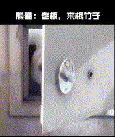  搞笑动态趣图gif好懂事的狗子眼里有活