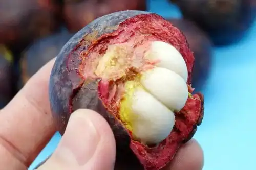  最让中国人期待夏天的食物,它排第一