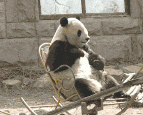  搞笑gif段子爸爸妈妈妈你们当着我的面秀恩爱,考虑过我的感受吗