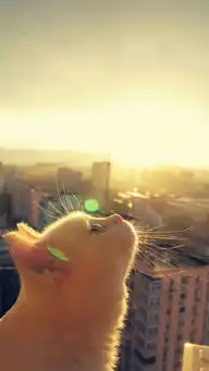 l深海少女的粉丝zcool  l深海少女的粉丝zcool