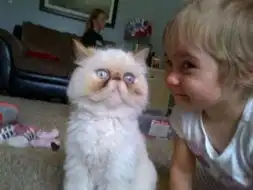 动物搞笑真实照片