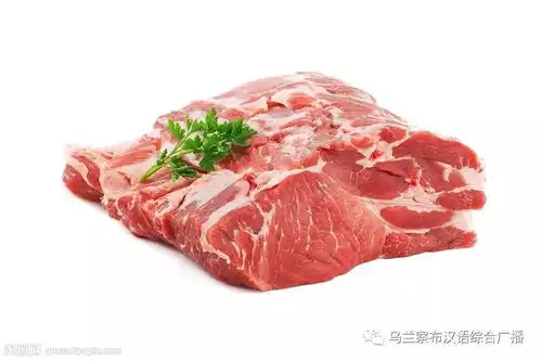 非洲猪瘟科普知识一