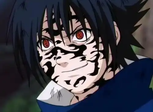 火影忍者搞笑图片佐助大