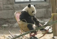  每日一笑,叫你的小可爱有什么事