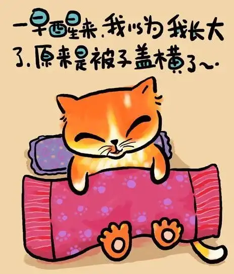 猫言猫语超可爱超搞笑图组  猫言猫语超可爱超搞笑图组