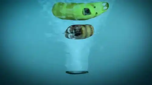  爆笑虫子红黄乘着玩具鸭子在水上玩耍,突然缸底漏水,小红被卡住