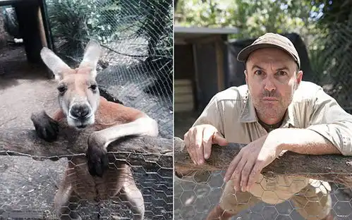 雅人叔的相册动物园里的饲养员集体卖萌,你见过吗  雅人叔的相册动物园里的饲养员集体卖萌,你见过吗