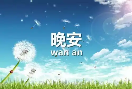 搜狐网