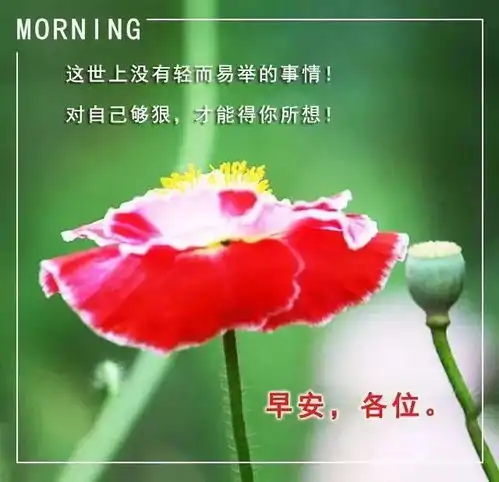  星期六最美早晨好动态图片正能量问候语录,最好看早晨好问候语图片动态美图