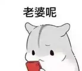 乖别怕表情包老婆