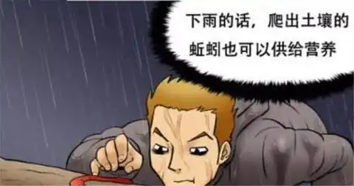  搞笑漫画小伙虽流落荒岛,吃虫子都能活下去,就是怕岛上的女人