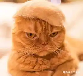 搞笑动态趣图gif吃火锅不能只顾看手机  搞笑动态趣图gif吃火锅不能只顾看手机