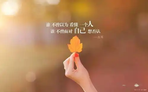  伤感的心情说说,总有一条适合你