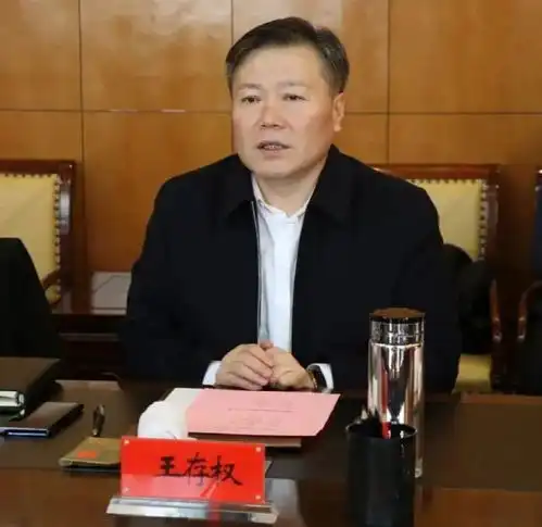  突发王存权被查