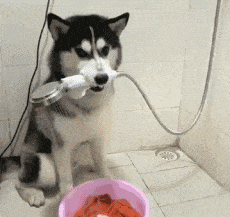  搞笑gif段子终于明白朋友为什么带我来这里吃饭了