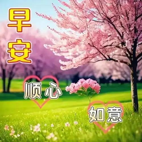  2024.8.26周一愉快,今日最新早上好漂亮聊天问候图片
