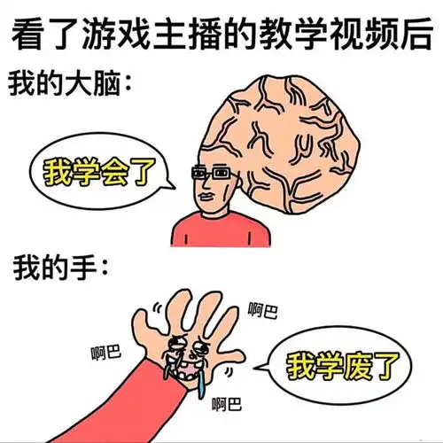  搞笑趣图当我看了游戏主播的教学视频后,我的大脑vs我的手