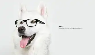  奈何有雨的资料zcool