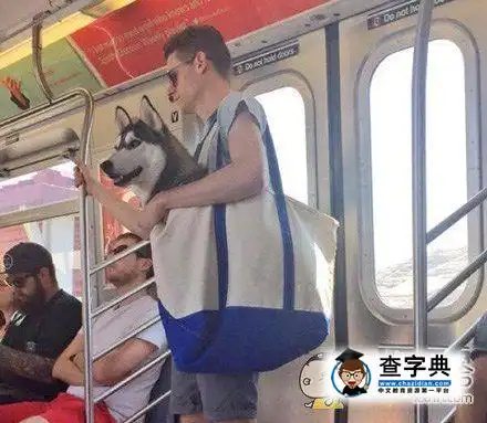  你们天天说的狗带是什么意思搞笑图片