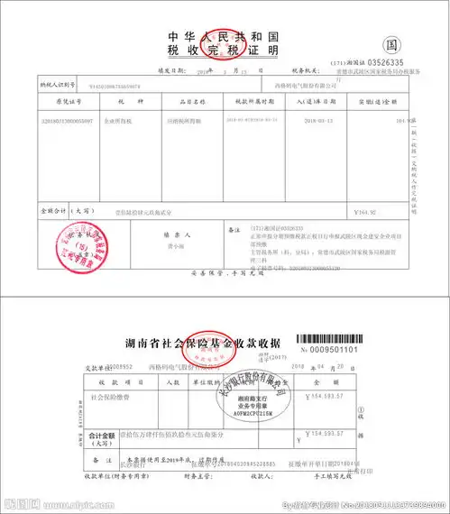 社会保险基金收款收据图片  社会保险基金收款收据图片