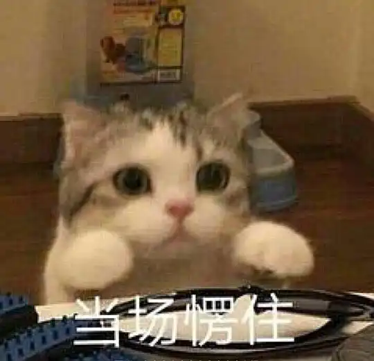 嗨美丽的姑娘表情包玫瑰