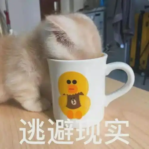  都做过什么沙雕事哈哈哈,场面不受控制