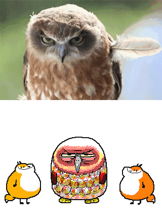  当你家萌宠变成动图时,惊到让你都怀疑我还是它的主人吗